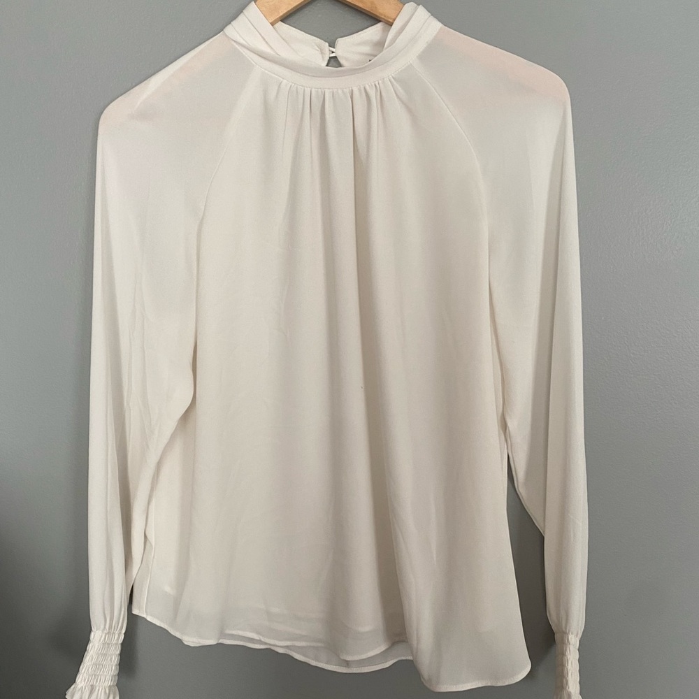 Ann Taylor Dress Shirt